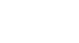 qaction_white-1